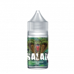 Concentré Fruit du Serpent Kiwi 30ML - SALAK